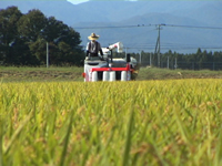 岩崎鬼剣舞の人々